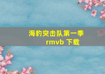 海豹突击队第一季 rmvb 下载